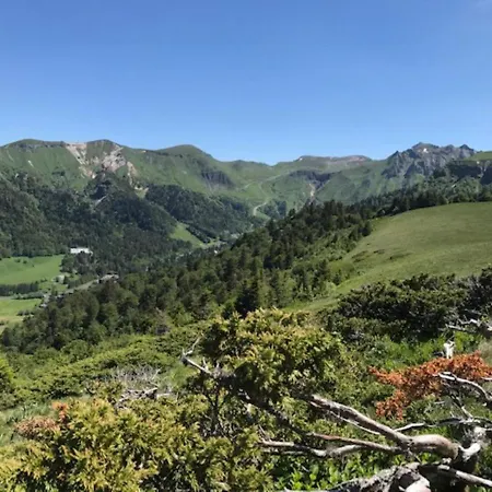 Lägenhet Mont-dore : T2 Confort Avec Parking Prive, Proche Thermes - Fr-1-608-99