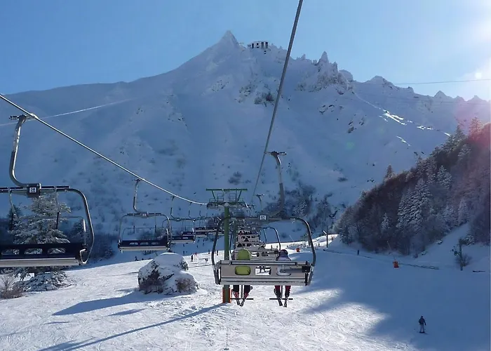 Mont-dore : T2 Confort Avec Parking Prive, Proche Thermes - Fr-1-608-99 *