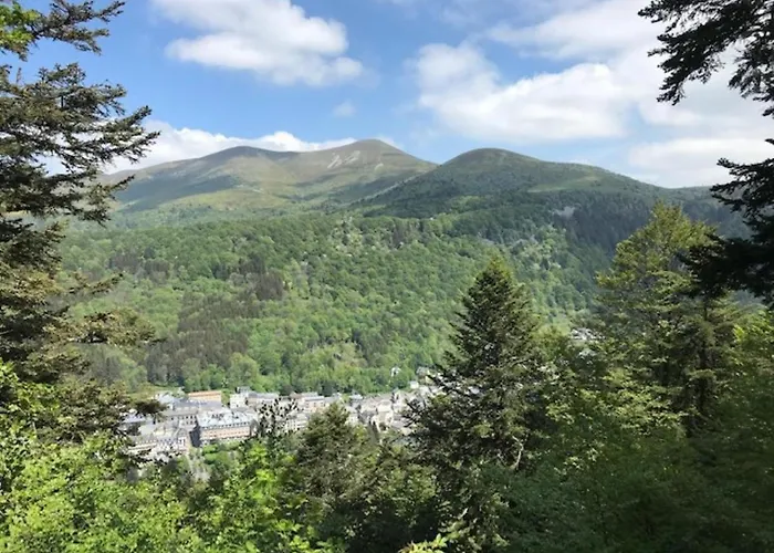 Mont-dore : T2 Confort Avec Parking Prive, Proche Thermes - Fr-1-608-99 شقة