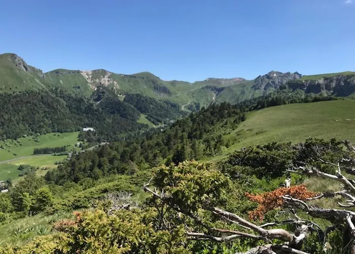 Apartamento Mont-dore : T2 Confort Avec Parking Privé, Proche Thermes - Fr-1-608-99