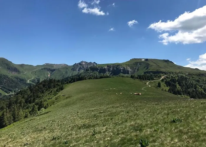 Mont-dore : T2 Confort Avec Parking Privé, Proche Thermes - Fr-1-608-99 *